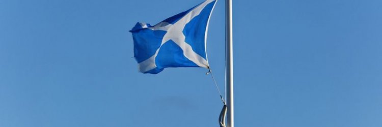 What is Scotcoin? What is Scotcoin?